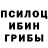 Галлюциногенные грибы прущие грибы barginsa alhanova