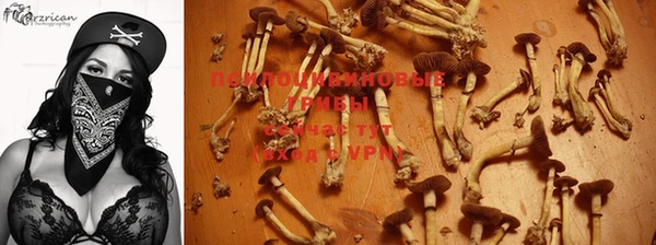 тгк Переславль-Залесский