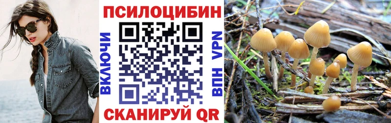 Галлюциногенные грибы Psilocybine cubensis  Собинка 